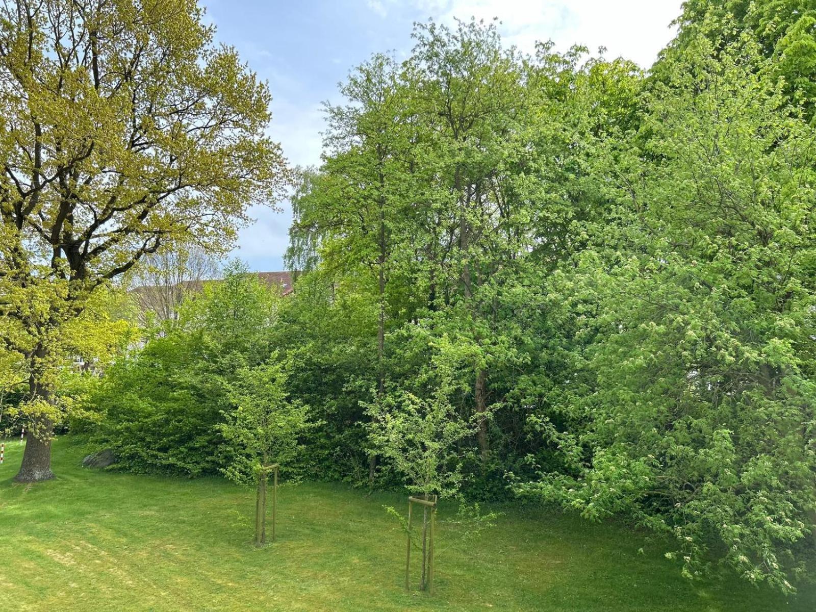 Ostseeperle